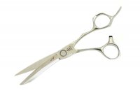    Stellite Alloy 560 (6.0)