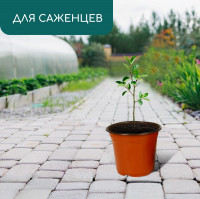 ������ ��� �������, 2.5 �, D=18 ��, H=14.5 ��, ������ �������, ��������, Greengo