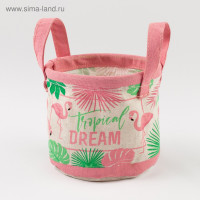   "Tropical Dream" 1412