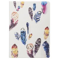  Butterfly Air, 