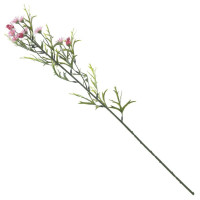 ������ �������������, L12 W12 H67 ��