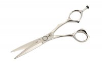    Stellite Alloy 355 (5.5)