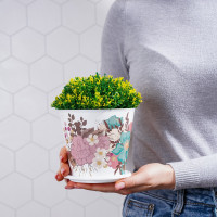 ������ ��� ������ ������ ��������, 800 ��, ���� �����