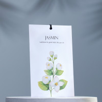 ��������� "Jasmin"