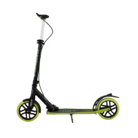  Maxiscoo Lx-205a 2021,  /