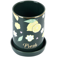     ( ) Fresh D=8,5. H=13. V=700