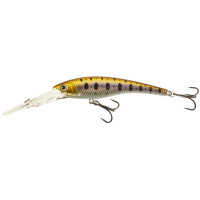  . Lj Original Deep Shiner, F, 11 ,  A029