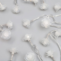   5     , Ip20,  , 20 Led,   (rg/rb), , 220 