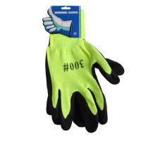 �������� ����������, ���������, ���� ����