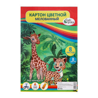   4, 8 , 8 , Calligrata,  240 /2,  