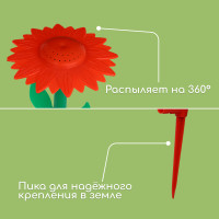 -, 29 , ,   , ,  , , Greengo
