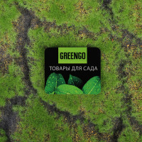 , ,  1 1 , , ,   , Greengo