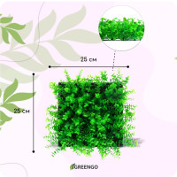  , 25 25 ,  , Greengo