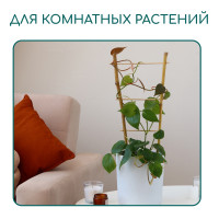 , 60 20 1 , , , Greengo