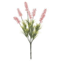 ������ ������������� ���������, L8 W7 H34 ��