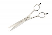    Stellite Alloy 160 (6.0)