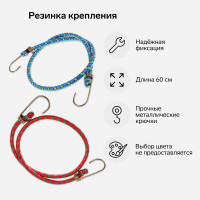     Torso, 60 , D8 ,  , ,  2 