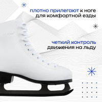   Winter Star Basic, . 41