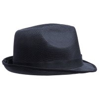  Gentleman,    
