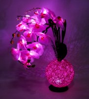 Lp-13  .  Led-