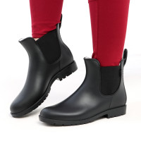     Taya Equestrianism , ,  40 Tbt1w