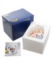 Cms-12/37      (pavone)