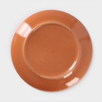  Colorlife, D=24 , H=2,5 ,  