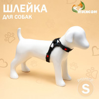  7  ,  S,  44-55 ,  5-9  