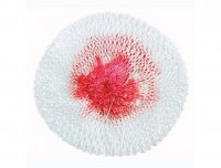 ������� 4 (���� ��� ���-�� 350c.P., 12 ����)