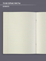  , 48   , Calligrata, -.  ,  