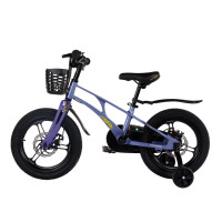  16 Maxiscoo Air Pro,   