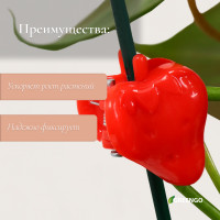 ������ ��� �������� ���������, ����� 10 ��., ����, Greengo