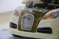 Bugatti Hl 938      2014 
