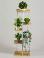    Greengo, 6 , 36 23 106 , ,  ,  , 