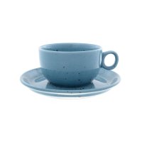   Repast Lifestyle Articblue 4 