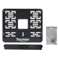    Ars Triumph, 190  145 