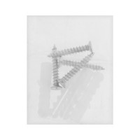 ���������������� (���.1189), D=17 ��, ��� ���������, ���� ����, 4 ��.