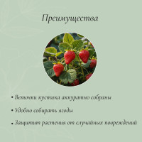   , D=15 , H=25 ,  D=0.3 , , , Greengo