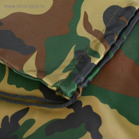    420  340 , Calligrata "", ( ,  210 D),  