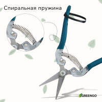 ������� �������, 7 (18 ��), � �������������� �������, ������������ �����, ������ Greengo