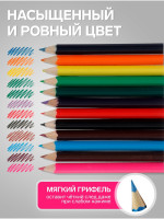  Calligrata , , 12  , , 