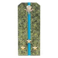  "  "  1303055  160 .