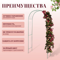 ���� �������, 230 125 50 ��, ��� �������� ��������, �������������, ������, ������, Greengo