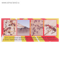 ��� �� ���� �������� "������� ����", 100 ��