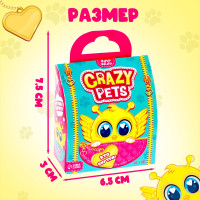 - Crazy Pets,  