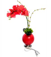 Lp-02     Led-