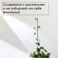   , H=60 , D=3  , , , Greengo