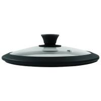   Panairo Silico, D=20