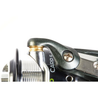   Salmo Diamond Carp 5 4000br