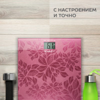   Scarlett Sc-217, ,  180 , 